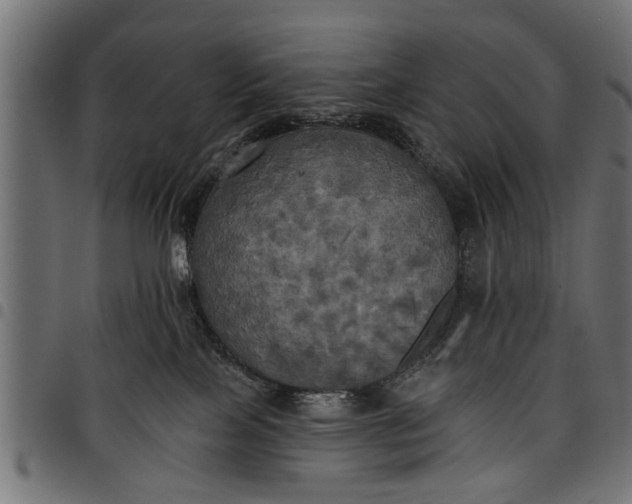 X0000097810089200803281108