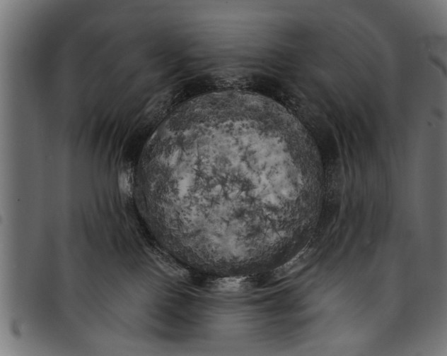 X0000097810090200803281108