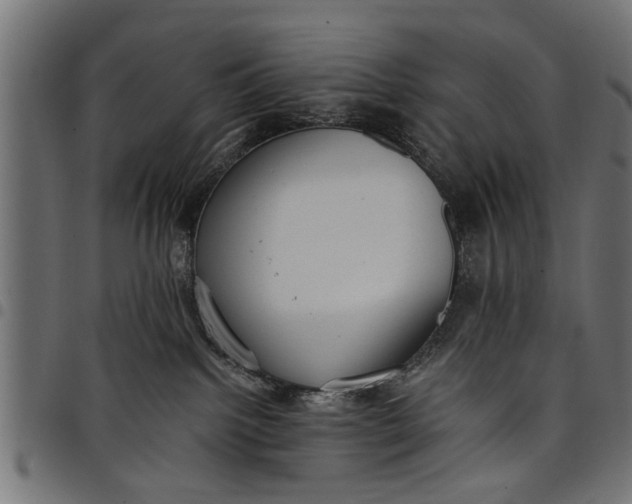 X0000097810092200803281109