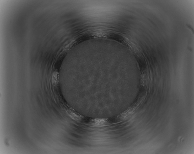 X0000097810093200803281109