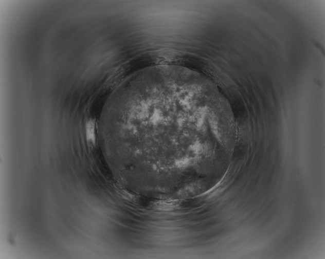 X0000097810094200803281109