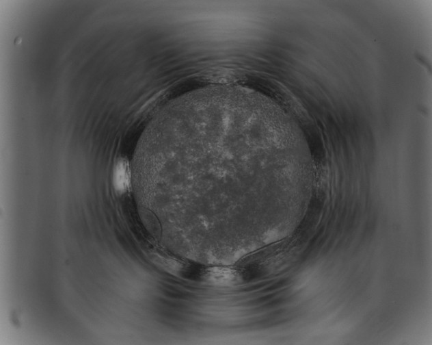 X0000097810095200803281109