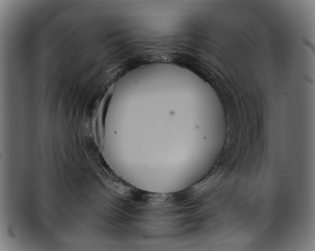 X0000097810096200803281109