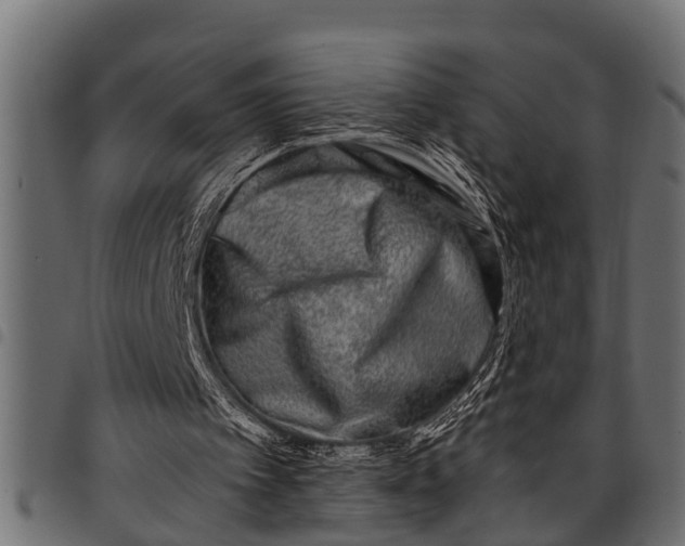 X0000097810097200803281108