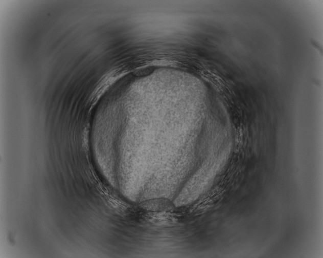 X0000097810098200803281108