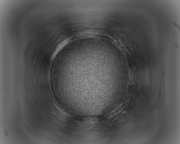 X0000097810099200803281108