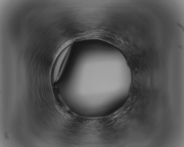 X0000097810100200803281108