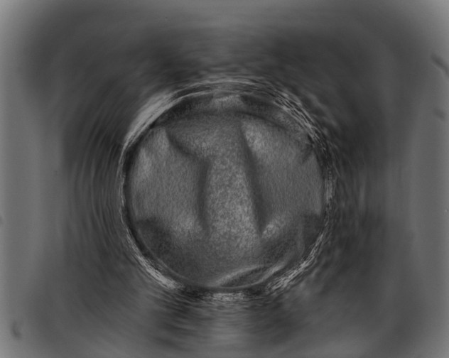 X0000097810101200803281108