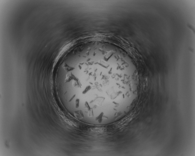 X0000097810102200803281107