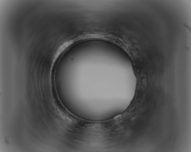 X0000097810104200803281107