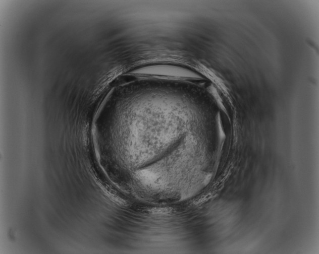 X0000097810105200803281107