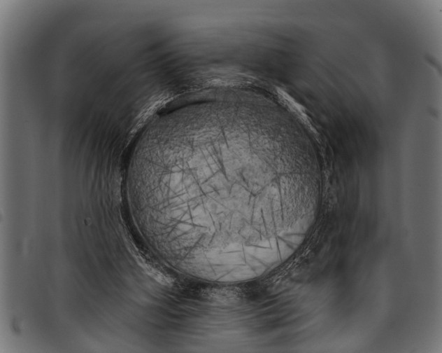 X0000097810106200803281107