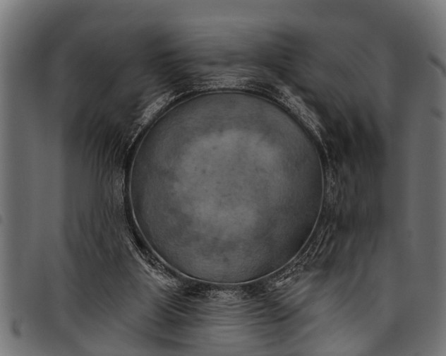 X0000097810107200803281107