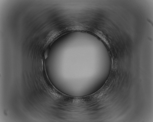 X0000097810109200803281107