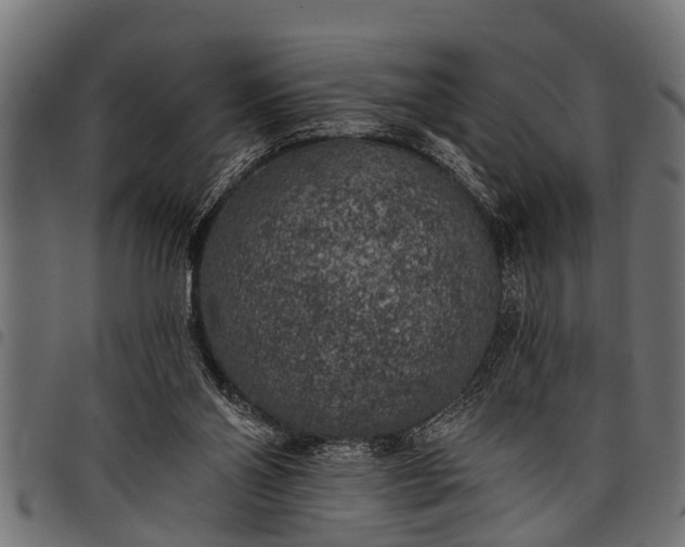 X0000097810110200803281107