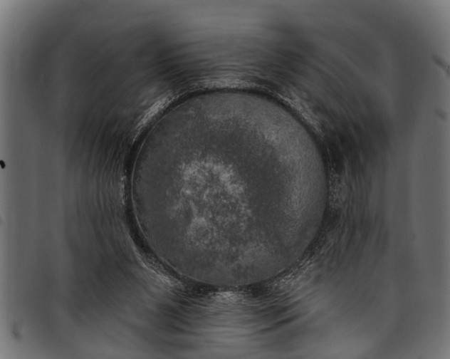 X0000097810111200803281107