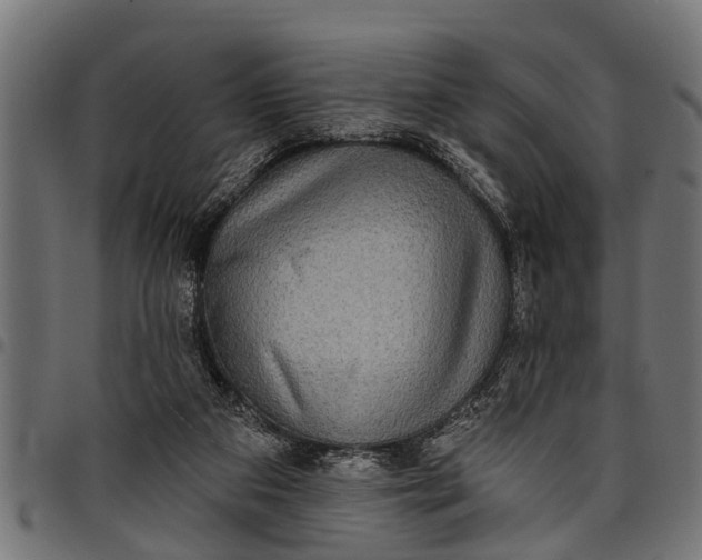 X0000097810113200803281107