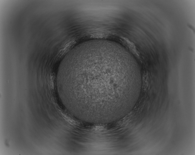 X0000097810114200803281107