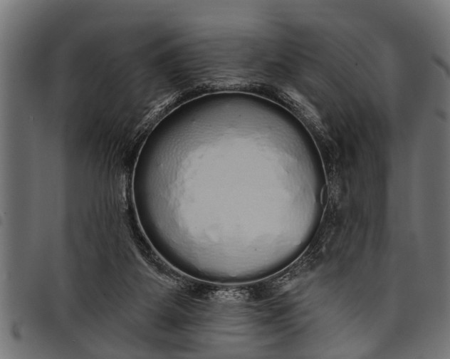 X0000097810115200803281107