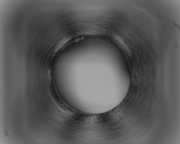 X0000097810116200803281107