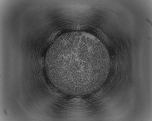 X0000097810119200803281107