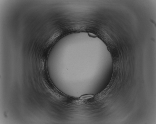 X0000097810120200803281107