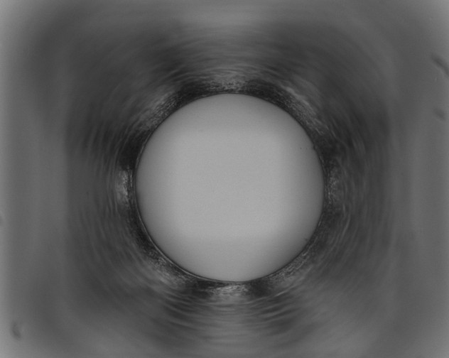 X0000097810122200803281107