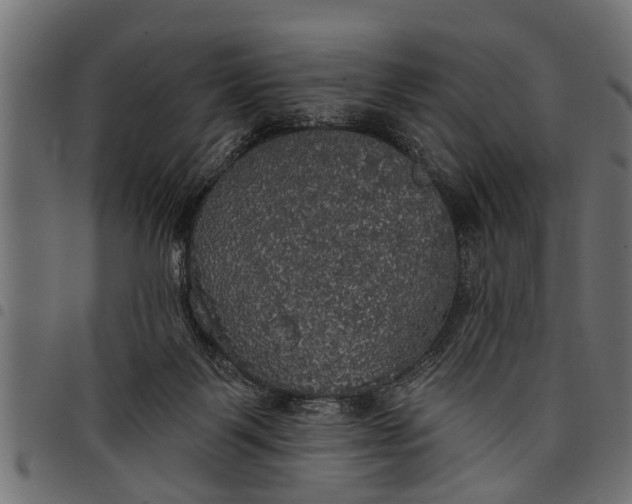 X0000097810123200803281107