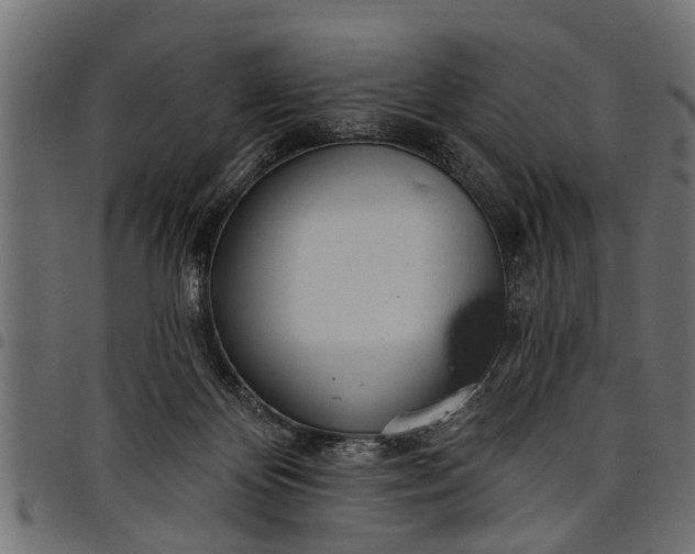 X0000097810124200803281107