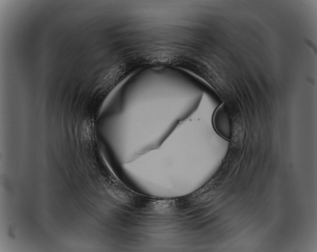 X0000097810126200803281107