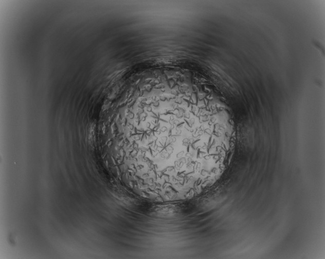 X0000097810127200803281107