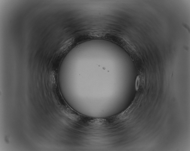 X0000097810128200803281107