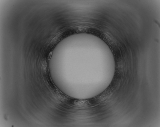 X0000097810129200803281107