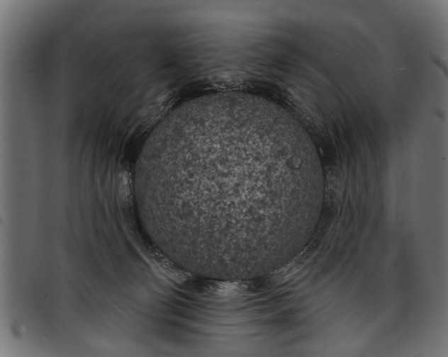 X0000097810130200803281107