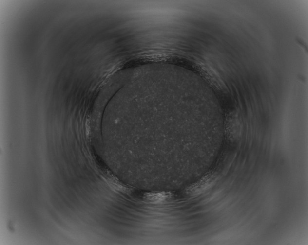 X0000097810131200803281107