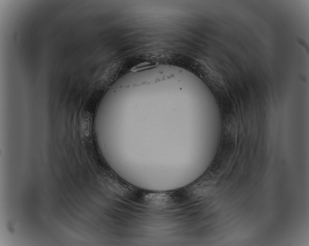 X0000097810133200803281107