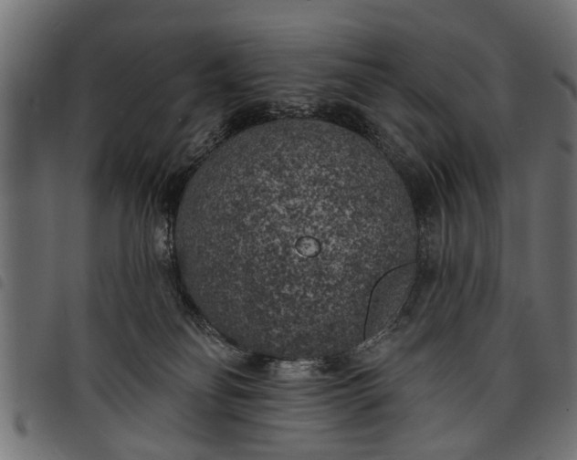 X0000097810134200803281107