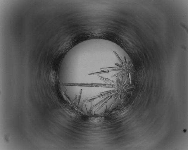 X0000097810135200803281107