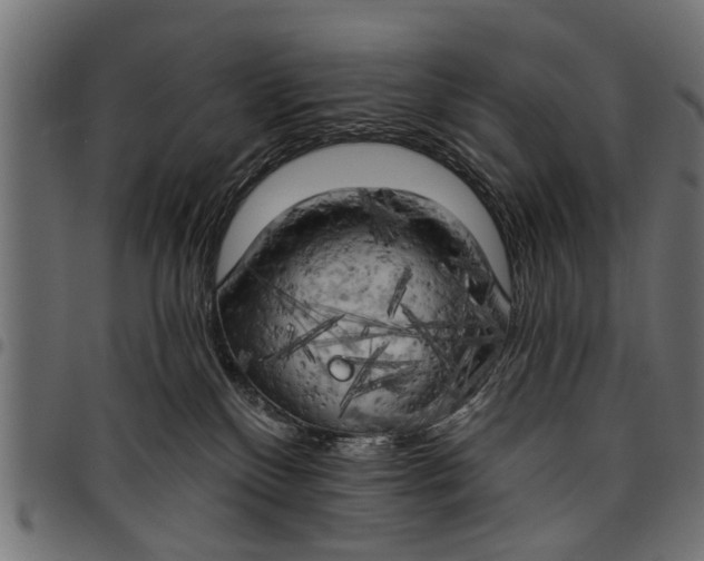 X0000097810136200803281107