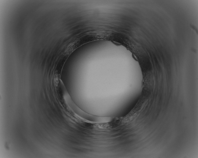 X0000097810137200803281107