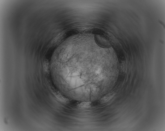 X0000097810138200803281107