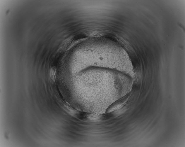 X0000097810142200803281107