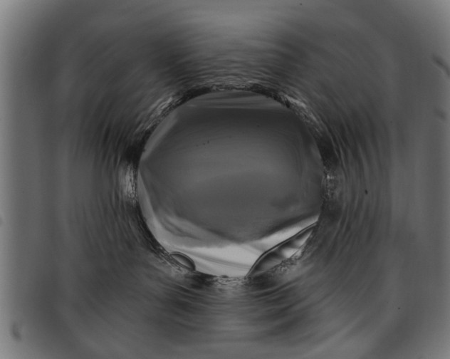 X0000097810143200803281107