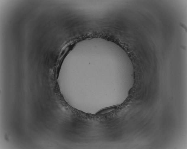 X0000097810144200803281107