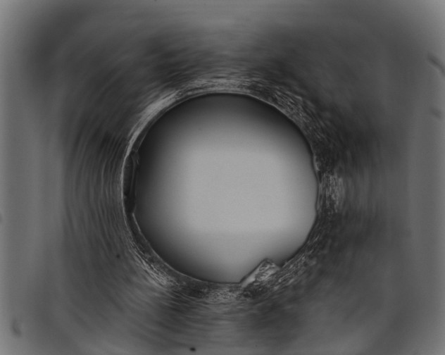 X0000097810148200803281106