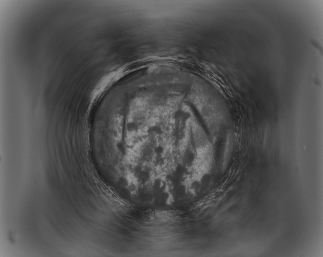 X0000097810149200803281106