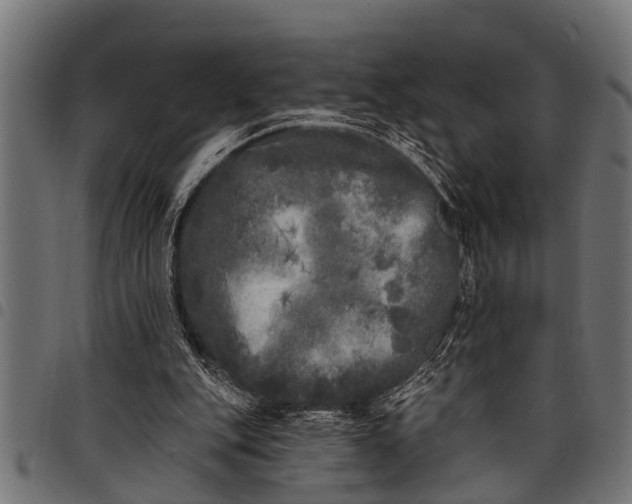 X0000097810151200803281106