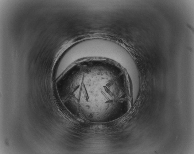 X0000097810152200803281106