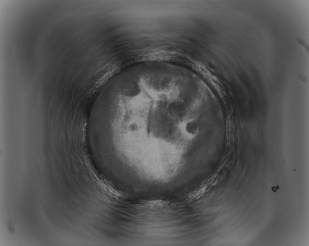 X0000097810153200803281106