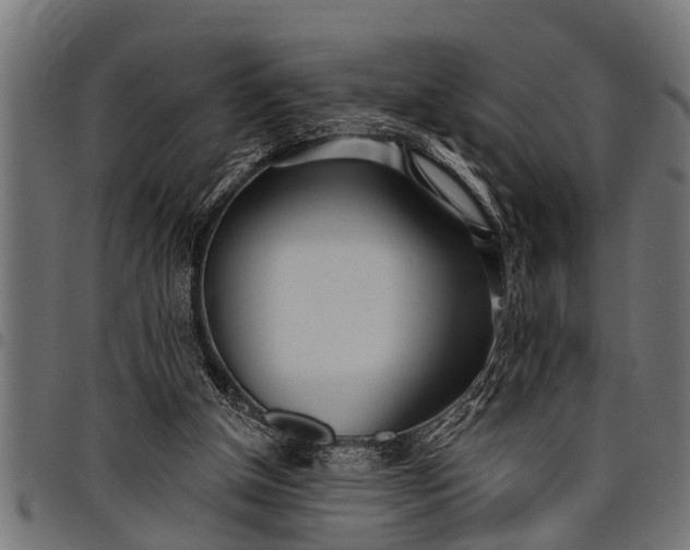 X0000097810154200803281106